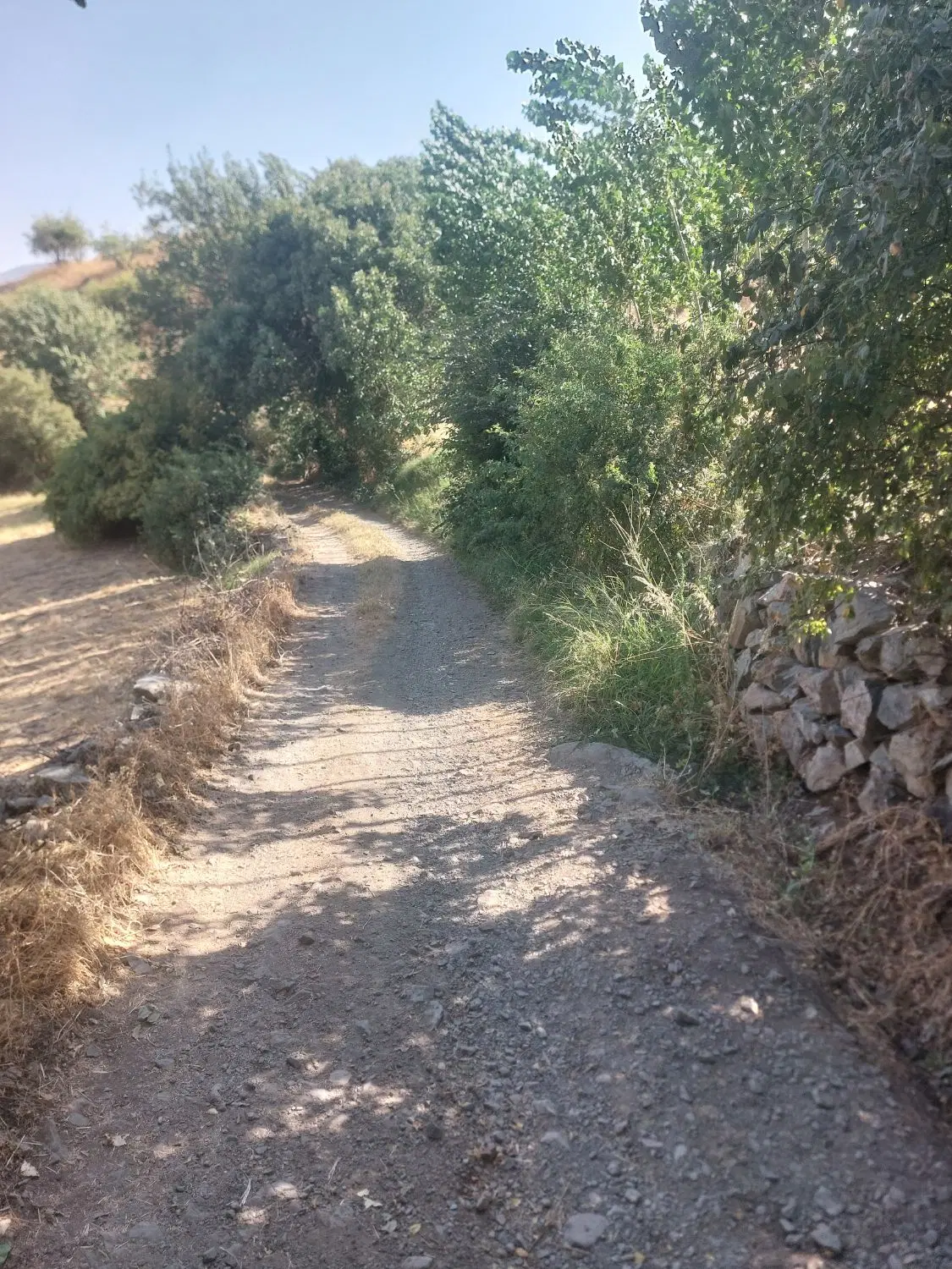 ۷۶۰ واحدی