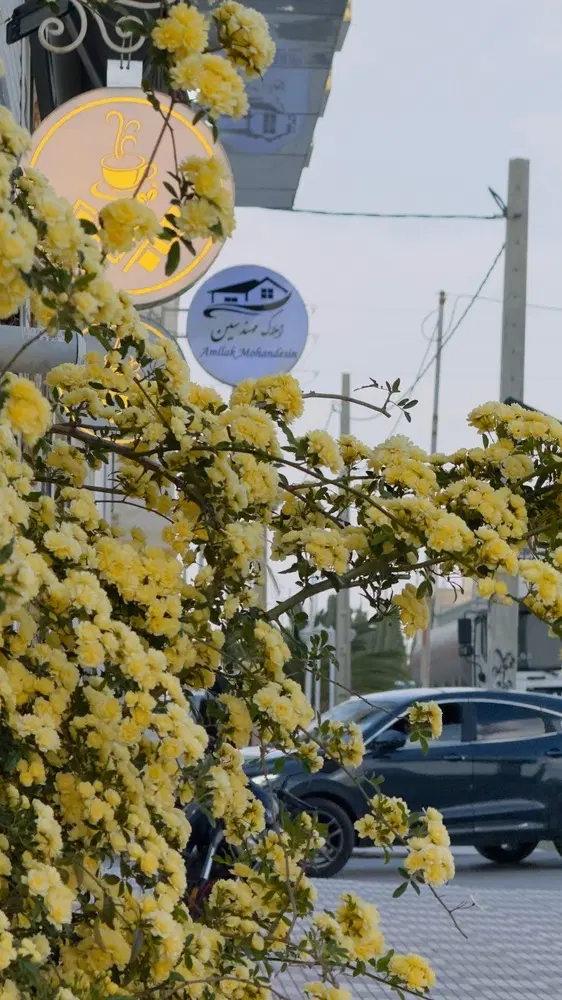 رهن و اجاره آپارتمان
