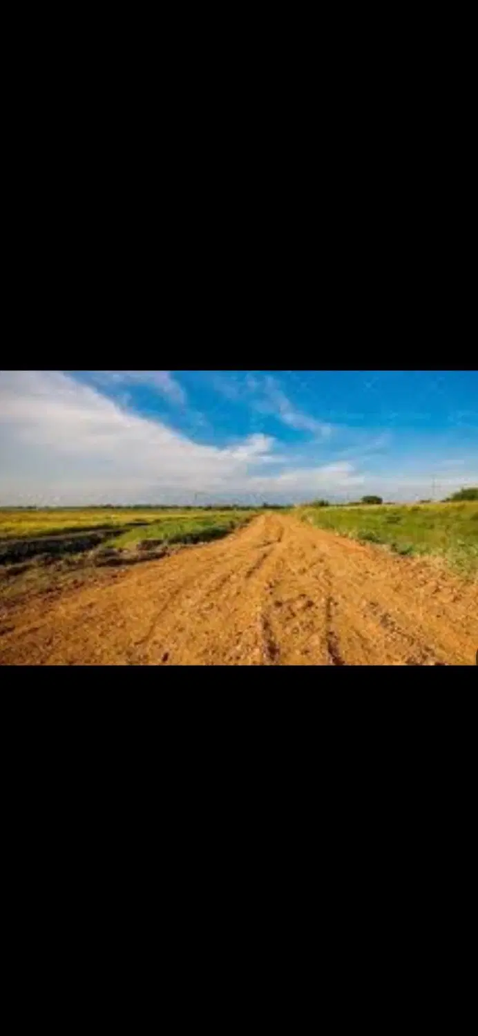 زمی در شهرک زعفرانیه