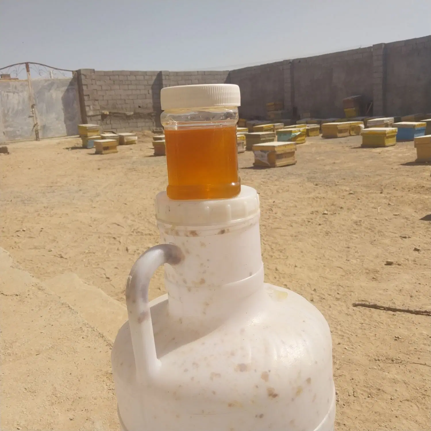 اجاره ۳۸۰متر زمین دور دیوار همراه نگهبان