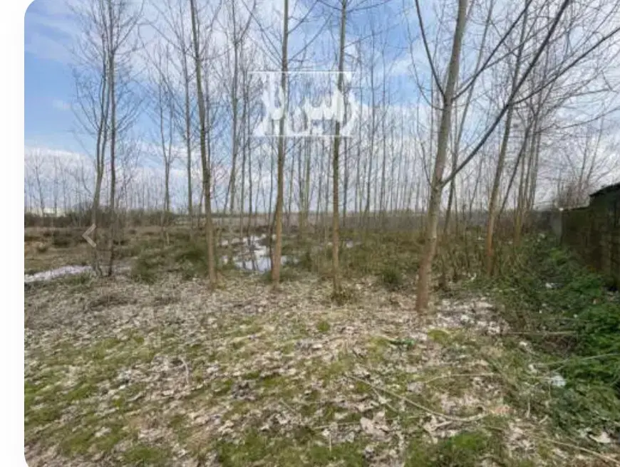 زمین کوی امام رضا