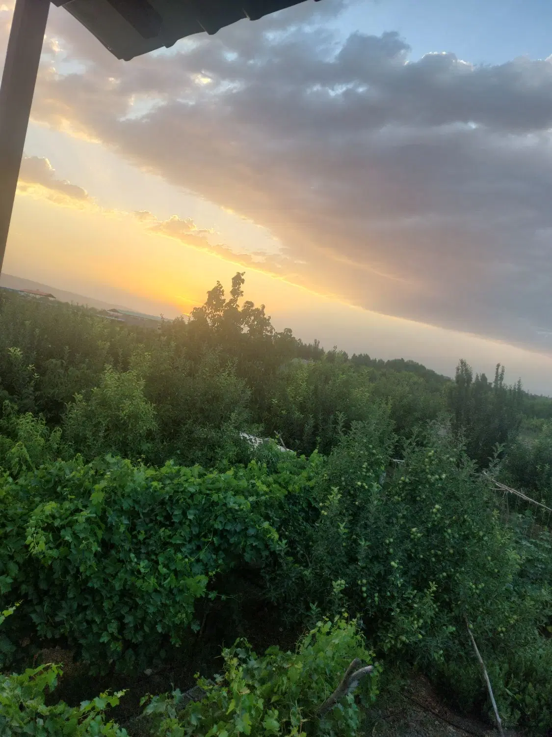 قطعه باغ ویلایی