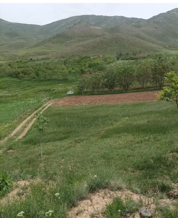 آصف آباد 5380 متر تک برگ سند آب فراوان