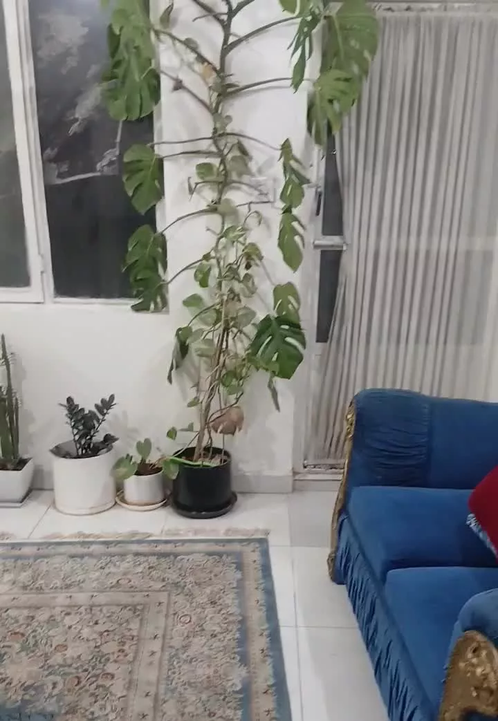 ۱۲۰متر اپارتمان