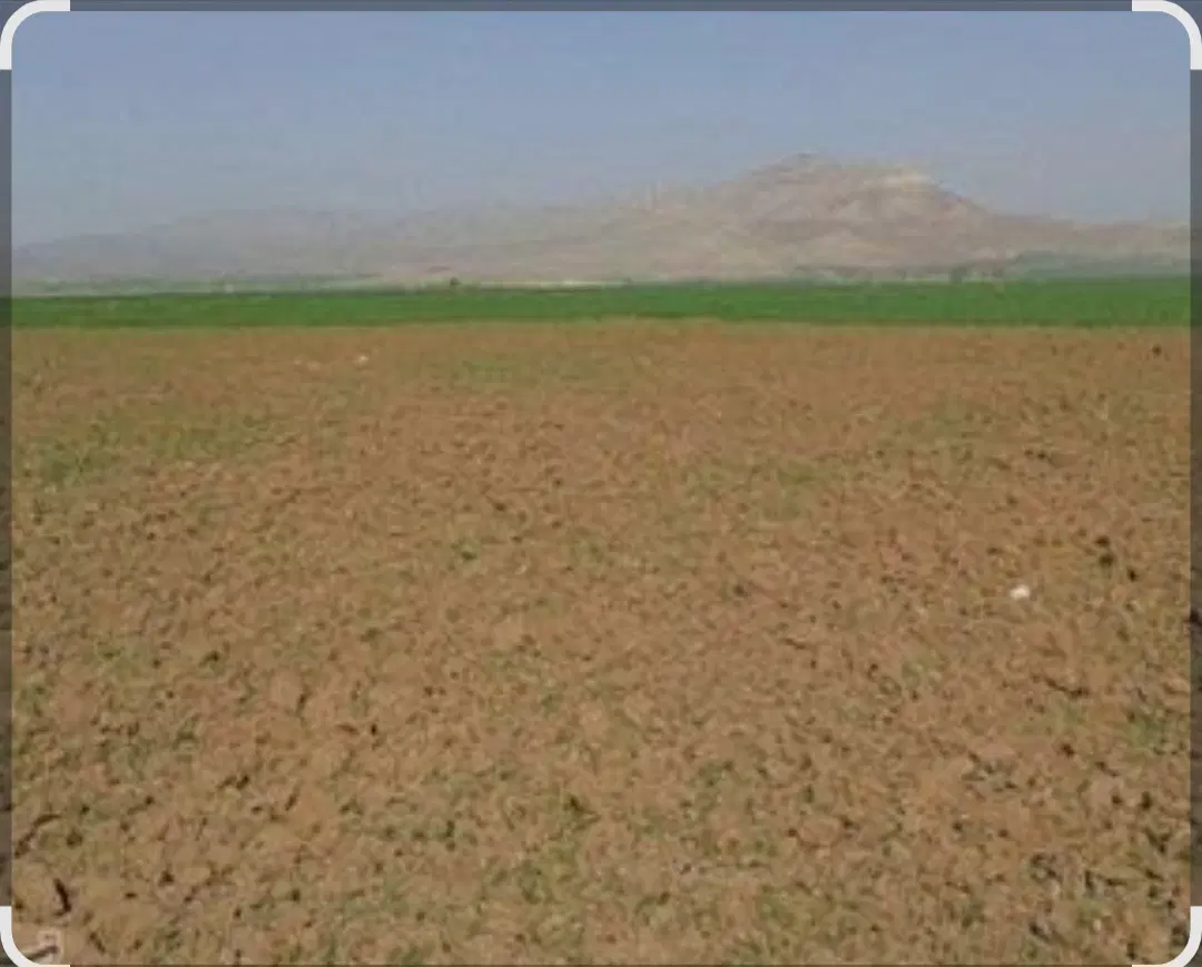 فروش زمین شبکه بهداشت قطعه 367