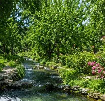 باغ با چشمه آب