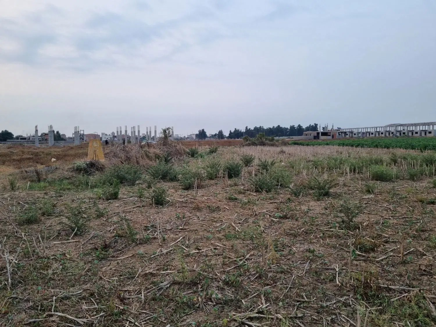 ۱۰۰۰هزار متر زمین کشاورزی باغی