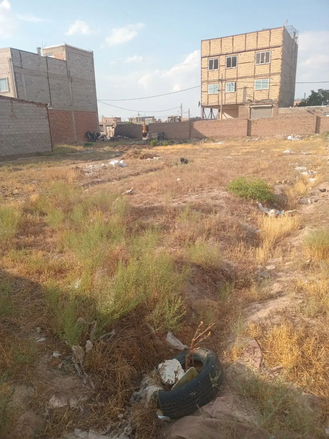زمین در باغ معروف