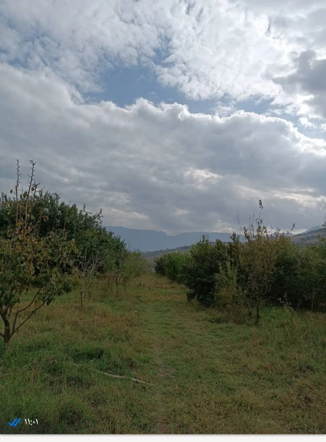 فروش توافقی ویا معاوضه باغ در روستای کلاسنگیان