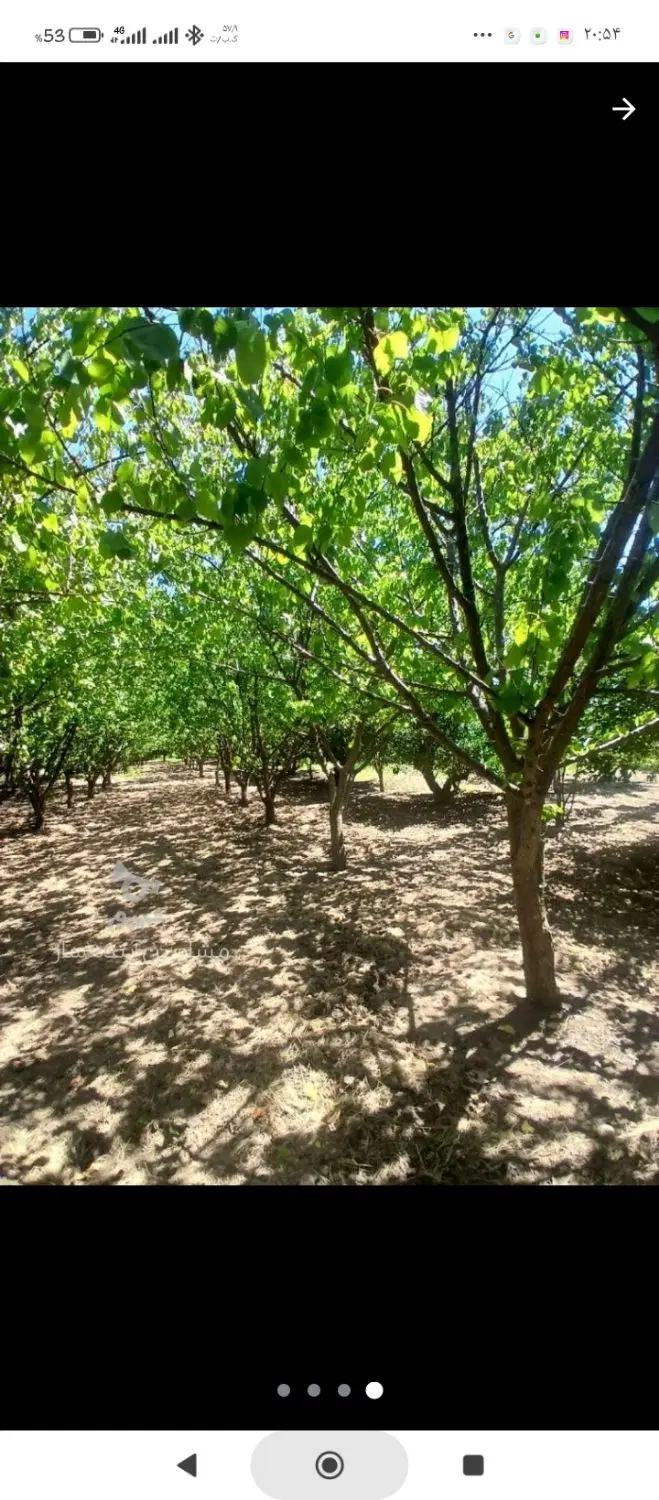 زمین روستایی مسکونی کوی اصحاب شهاب لیلم