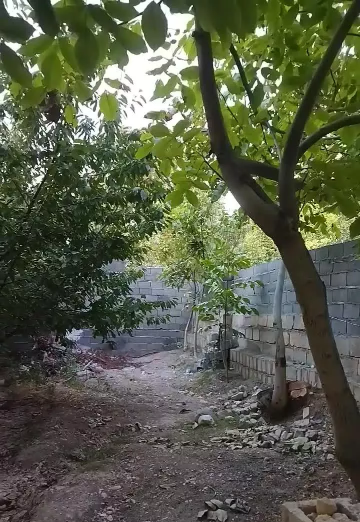 باغ نقلی گیلاس