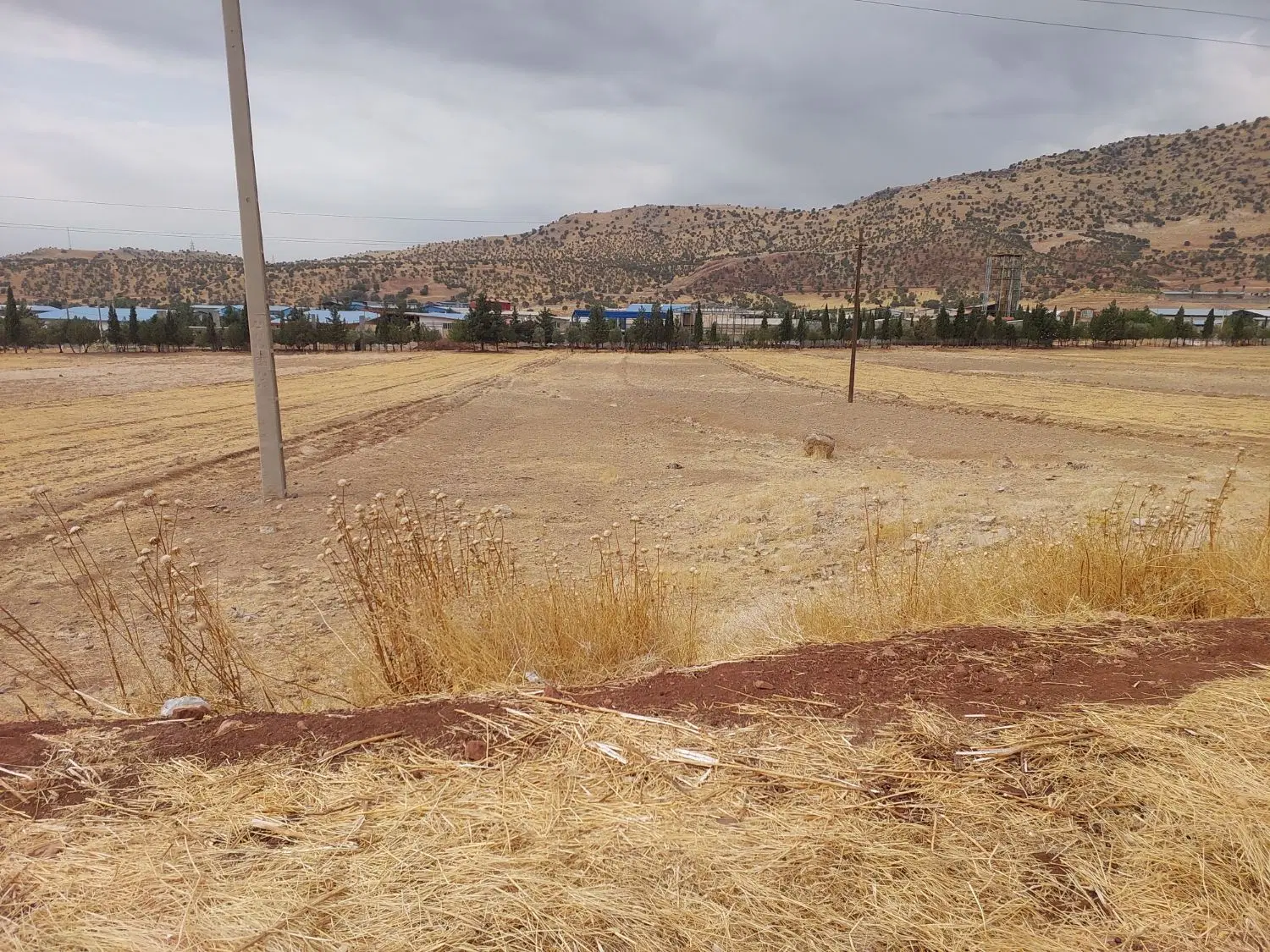 زمین بر اتوبان تک برگ سند دار