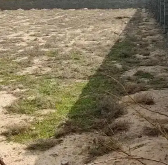 زمین ۱۰۵۰متر جیلان آباد