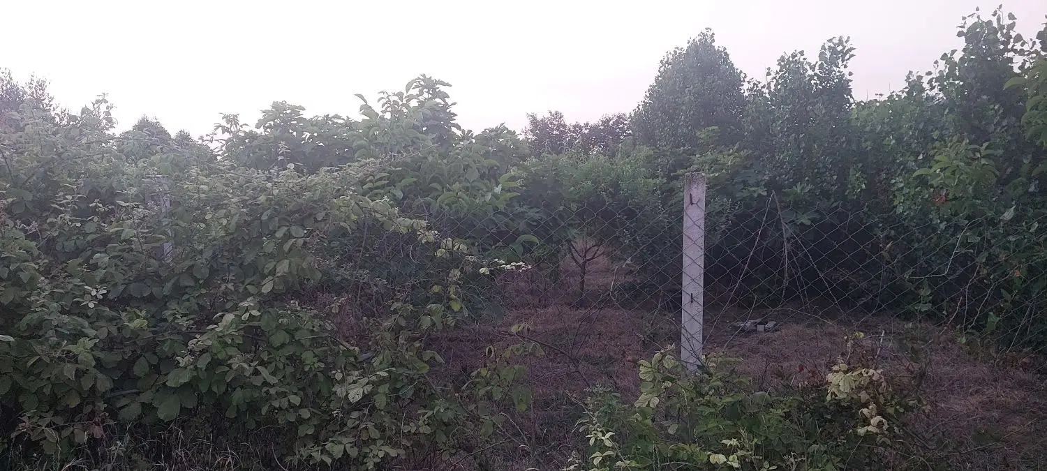 باغ ۵۰۰ متری جاده شصت کلا