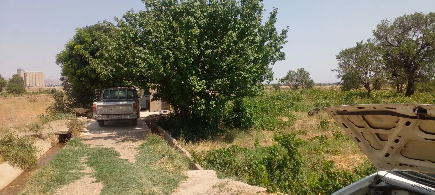 ۱۰۰۰متر زمین مخصوص بادام