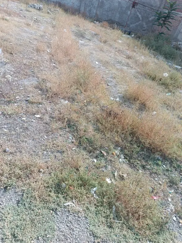 زمین در ایران آباد متراژ 126متر اثبات مالکیت داره
