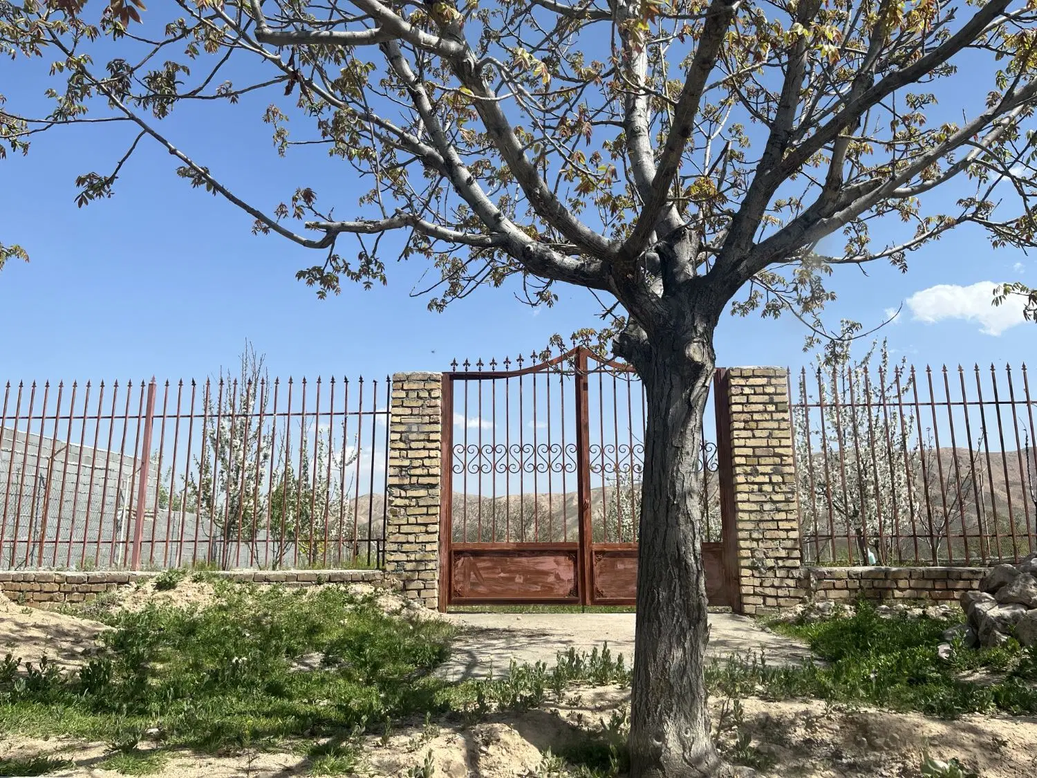 فروش باغ حاشیه جاده