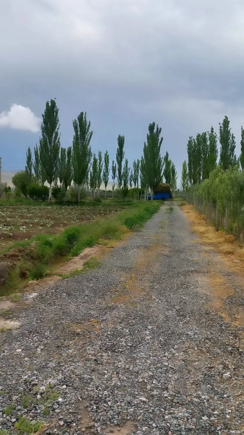 زمین درکنار جاده اسفالت روستای حاشیه رود