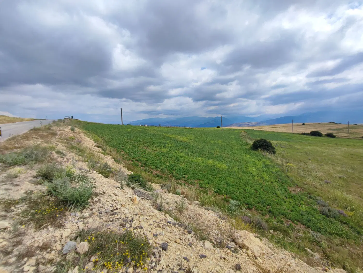 فروش ۵ هزار متر زمین در دیلمان روستای نیاول