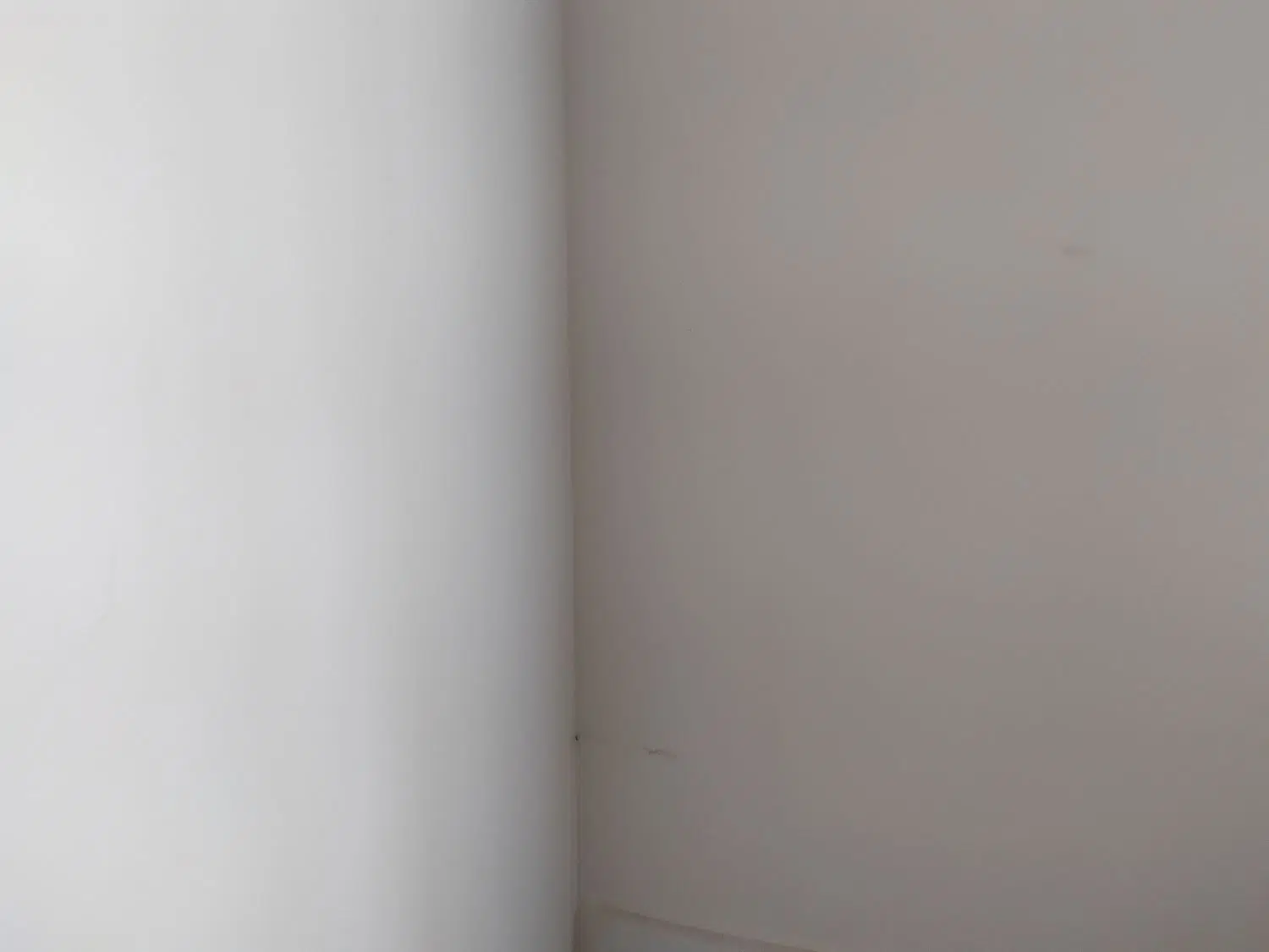 ملک اجاره ای صنوف