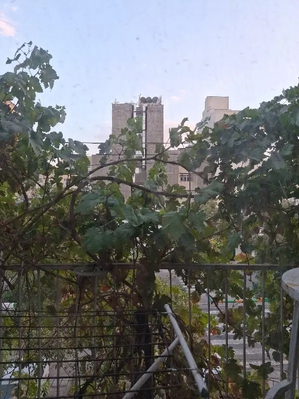اجاره آپارتمان