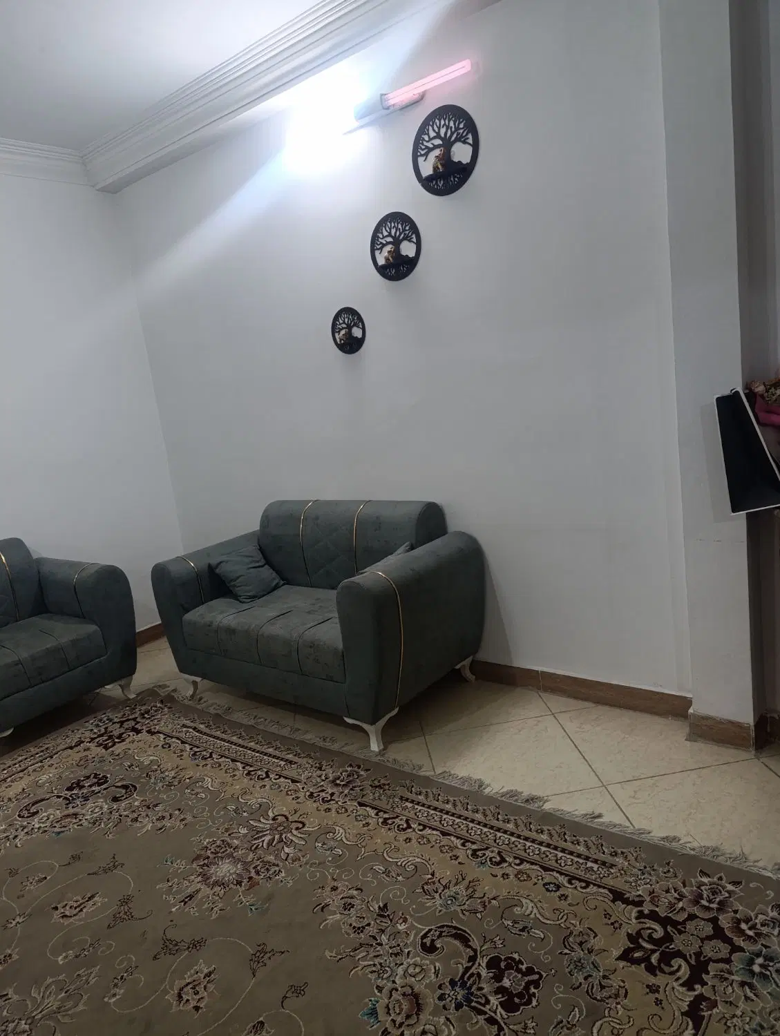 همخانه