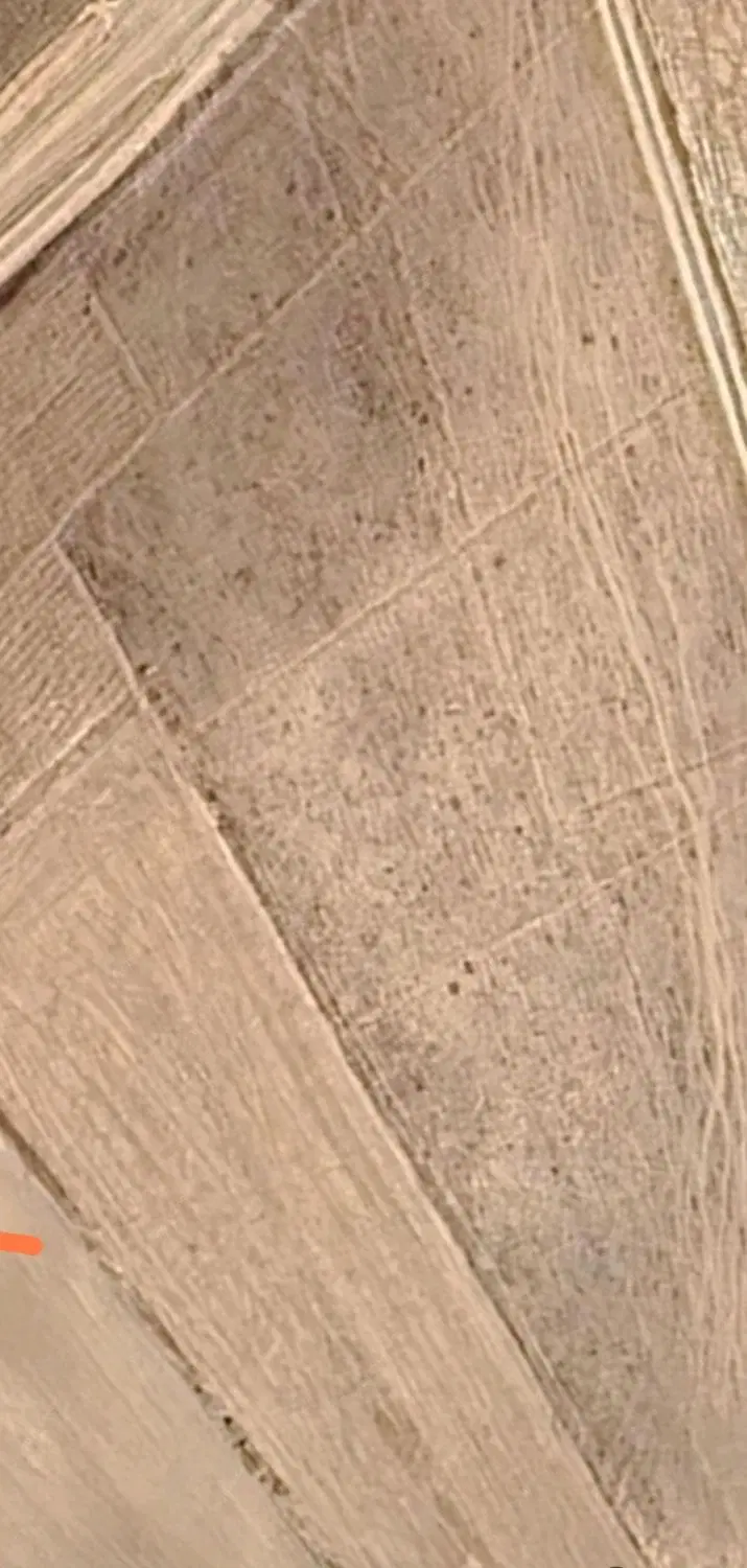 زمین محدوده تالار شادی