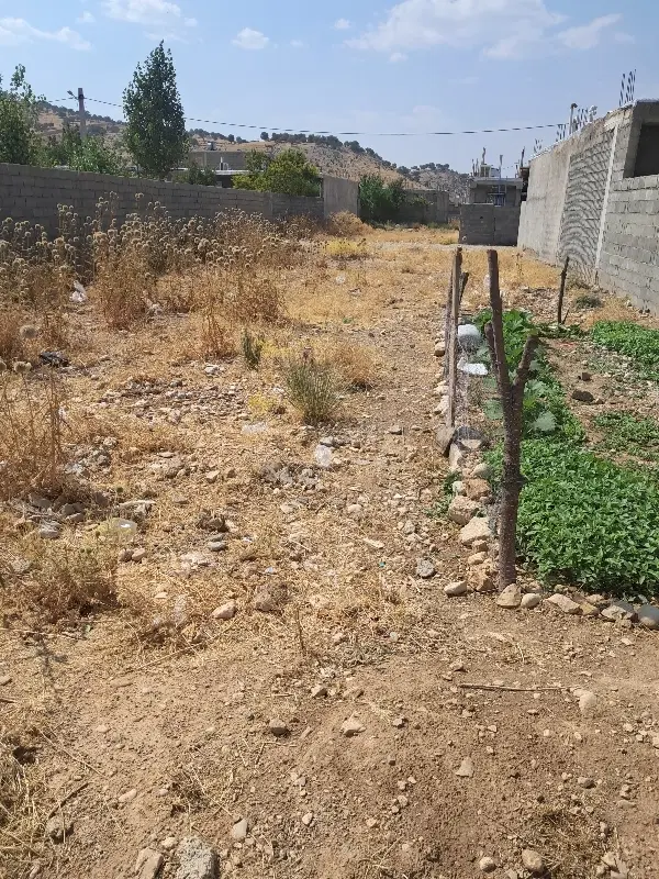 زمین داخل طرح سند دار چنارستان