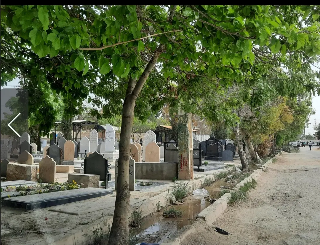 زمین  قبردر دارحمه شیراز  خیابان گلزار