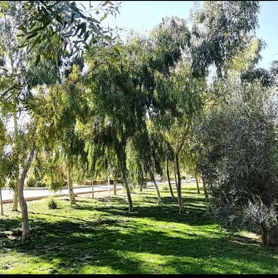 فروش زمین روران بعد از بهارستان