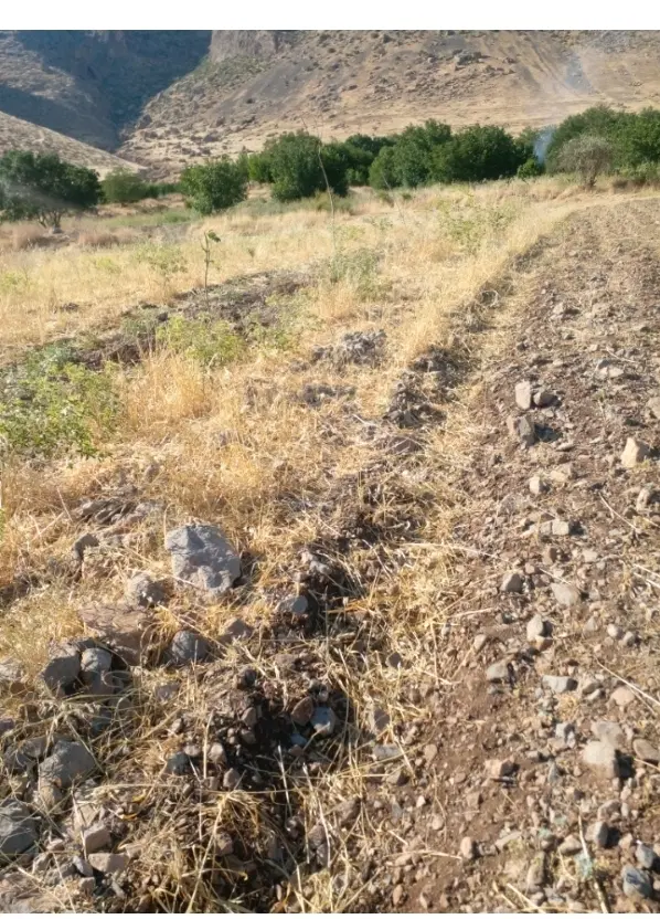زمین  ۲۴۰۰ متر  سند تک برگ