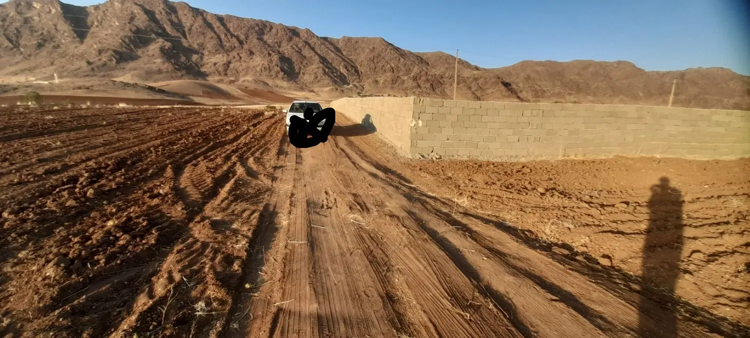 زمین کمالوند