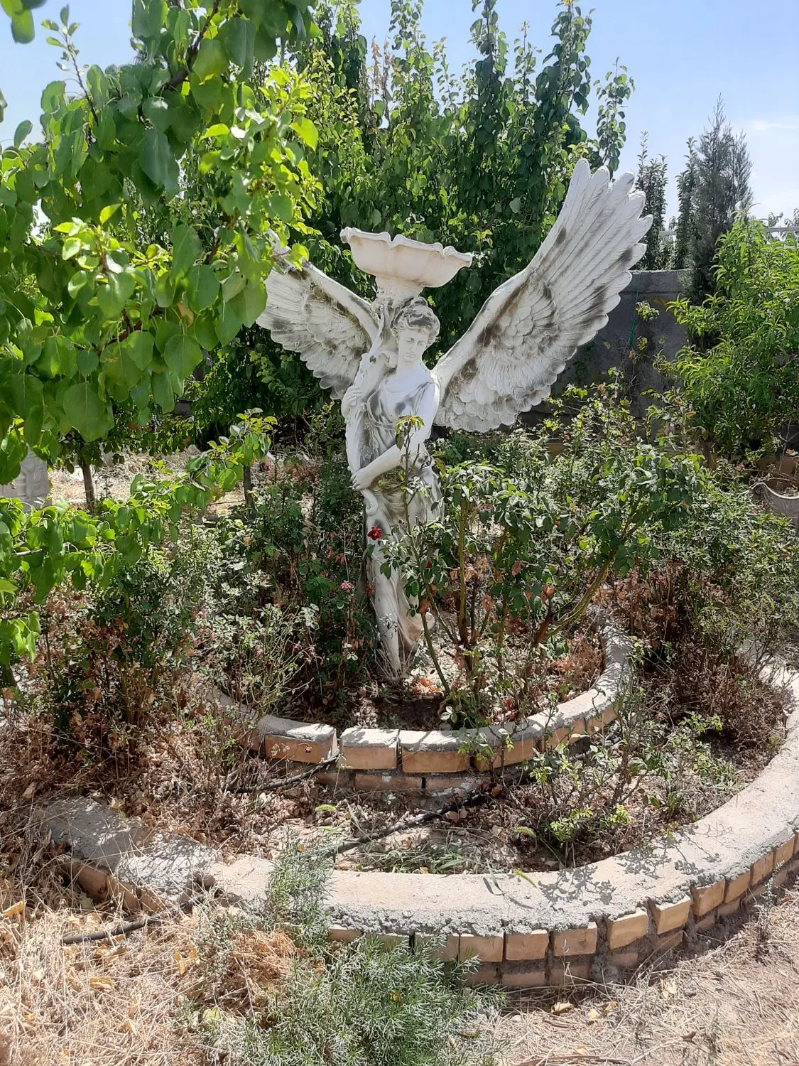 باغ پشت ارامگاه فردوسی