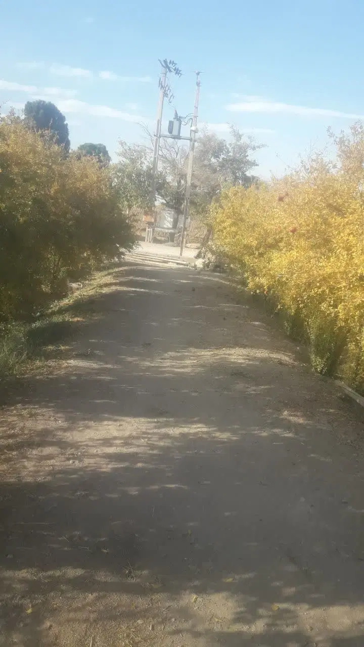باغ