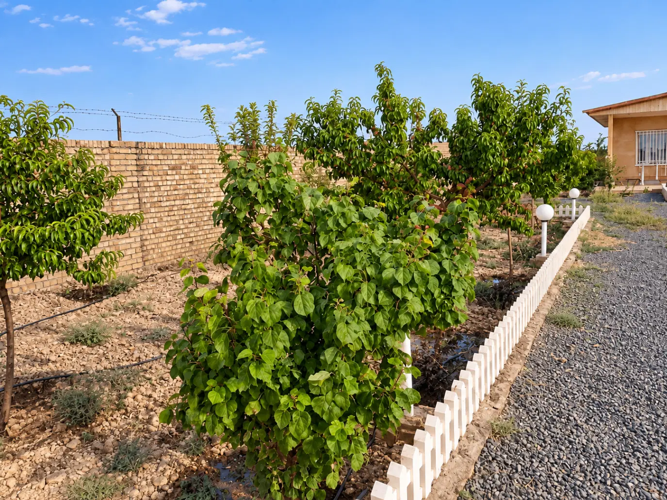 باغ ویلا