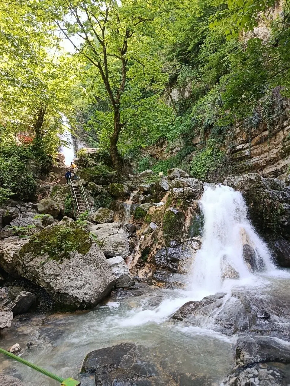 ۱_۵ دانگ زمین کوی  دارایی