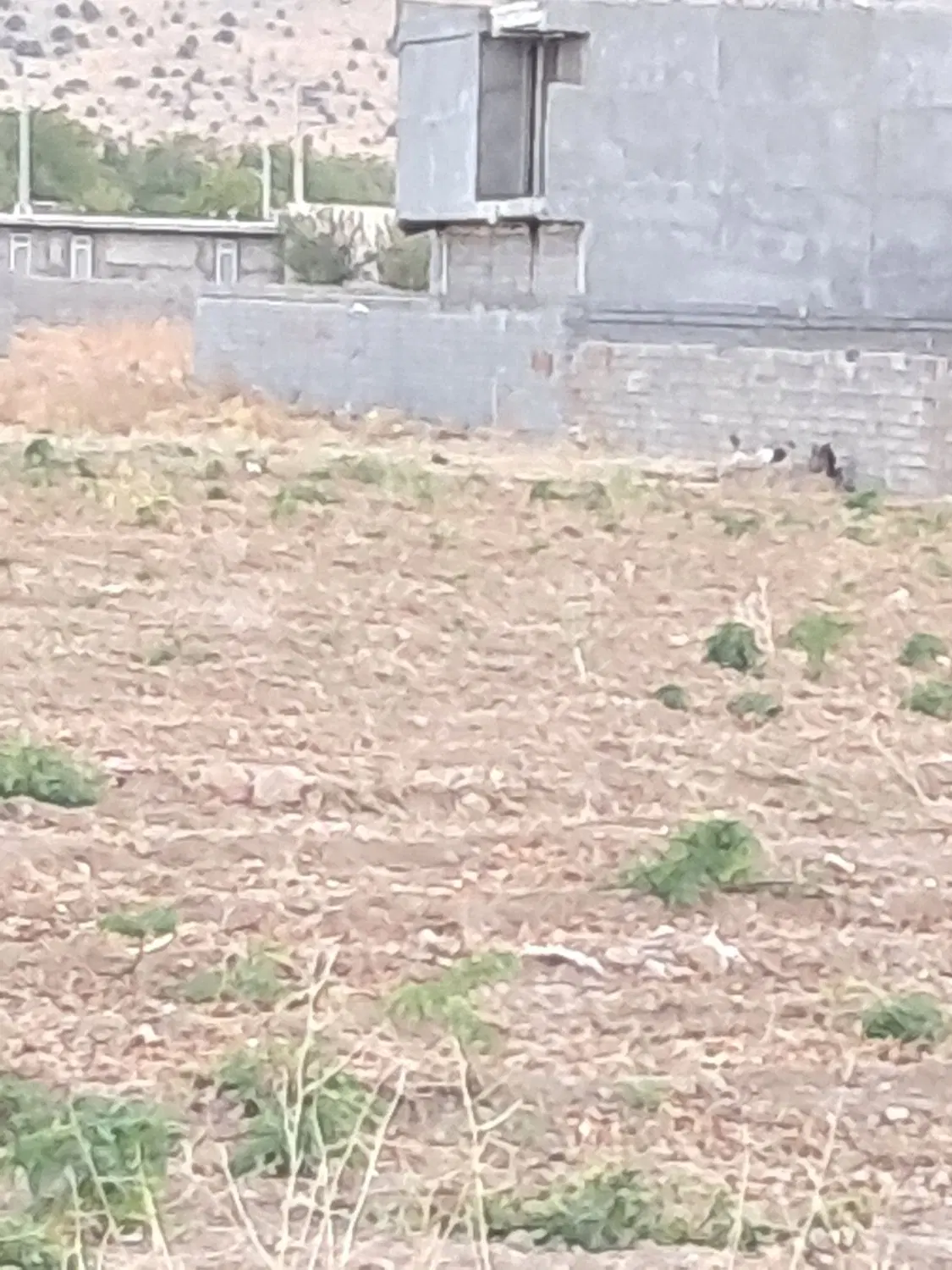 فروش زمین موردراز وسطی