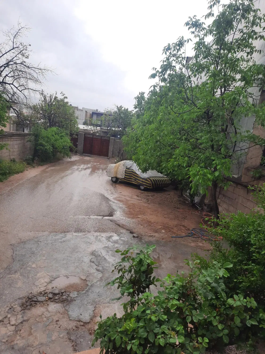 کلنگی راهنمایی