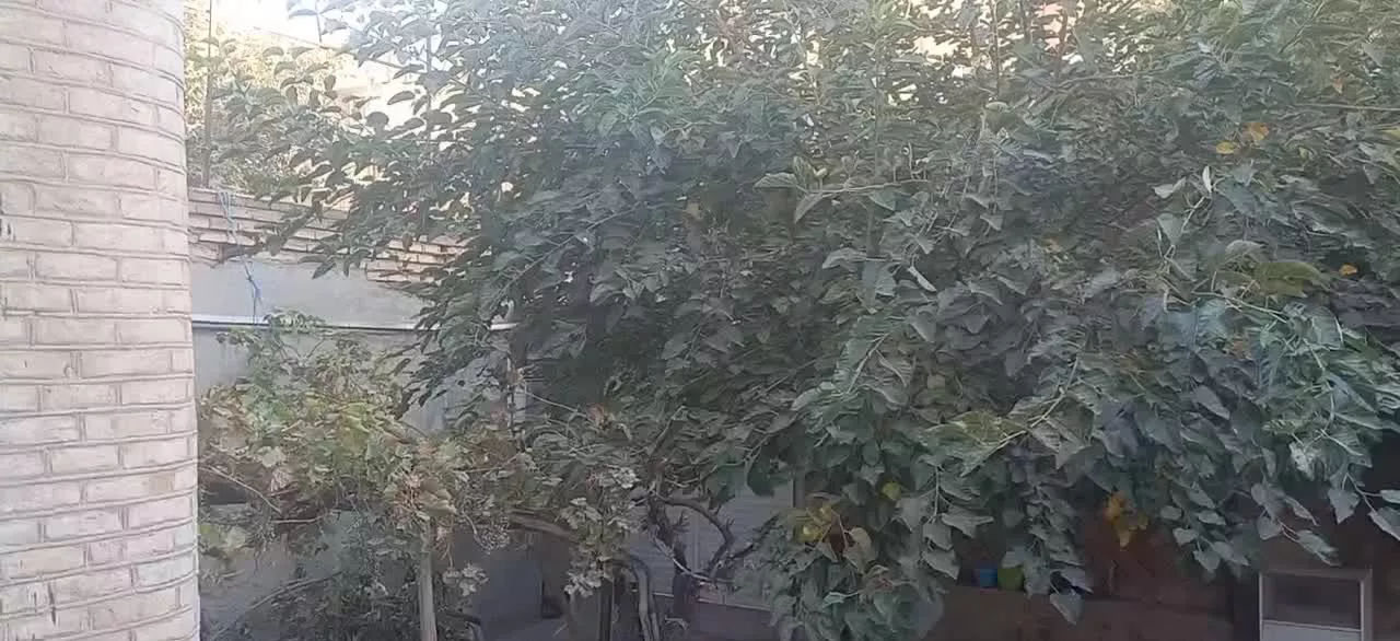 فروش ملک