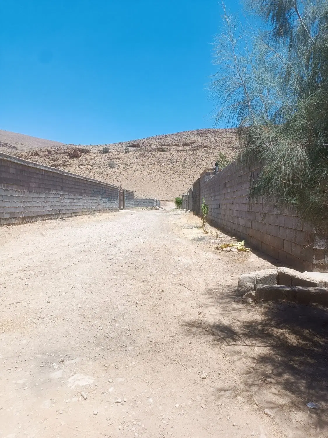 باغ شهری