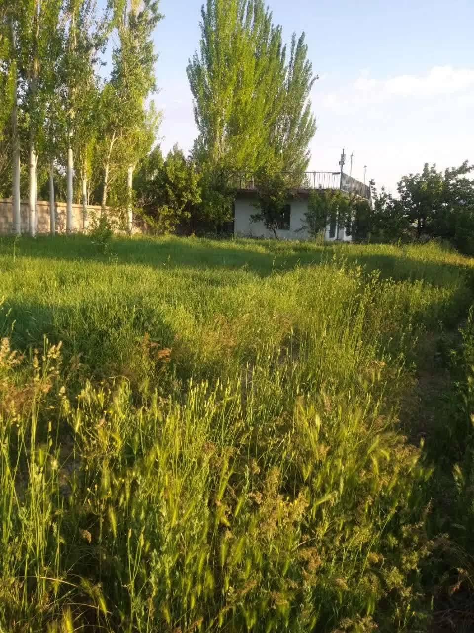 اجاره مجموعه صنعتی و تولیدی