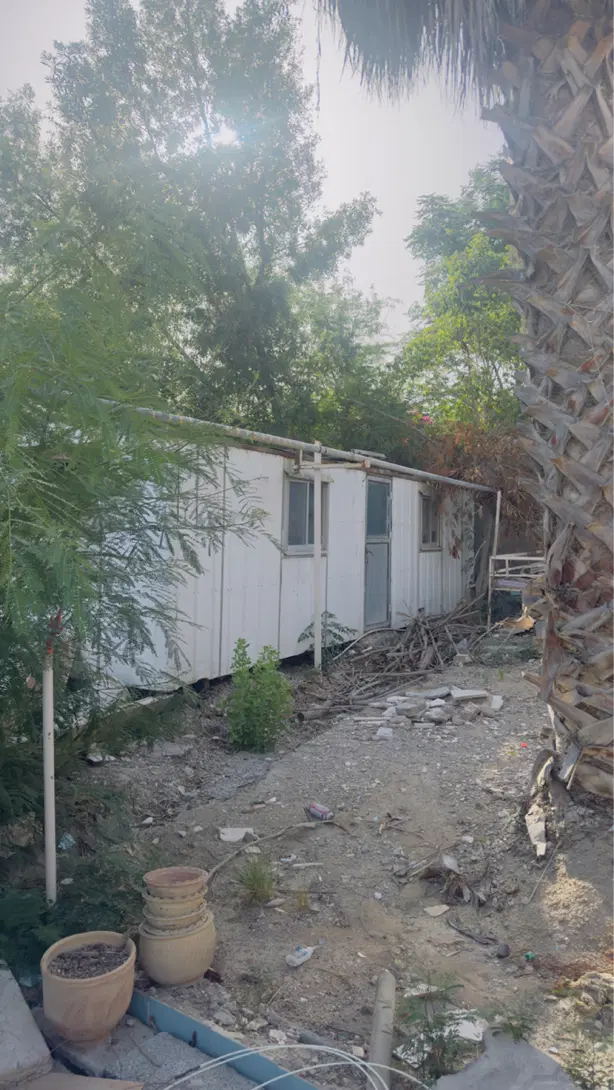 کانکس