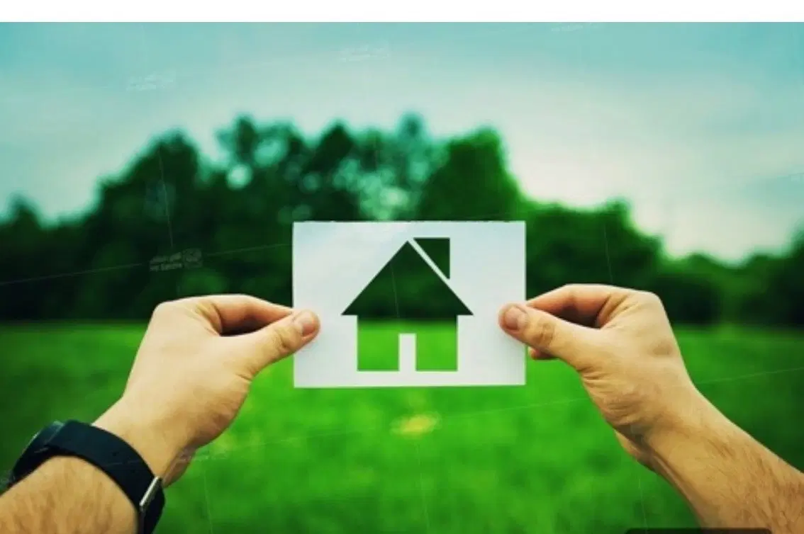 فورش فیش دهلاویه،پردیسان