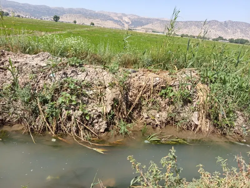 زمین تجاری مسکونی نرگاه