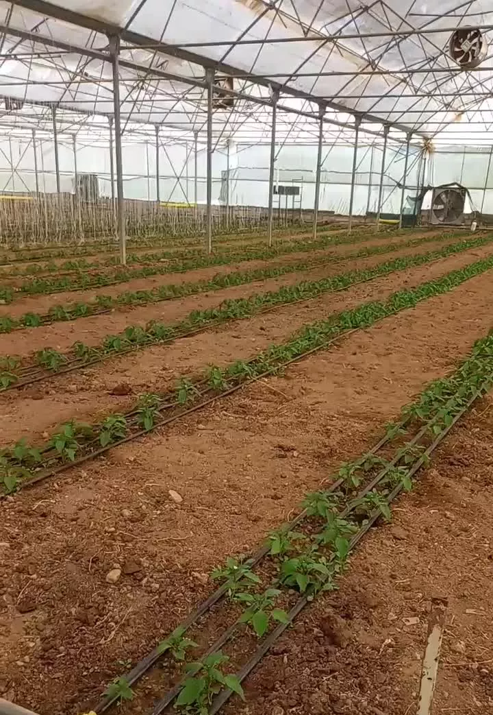 گلخانه
