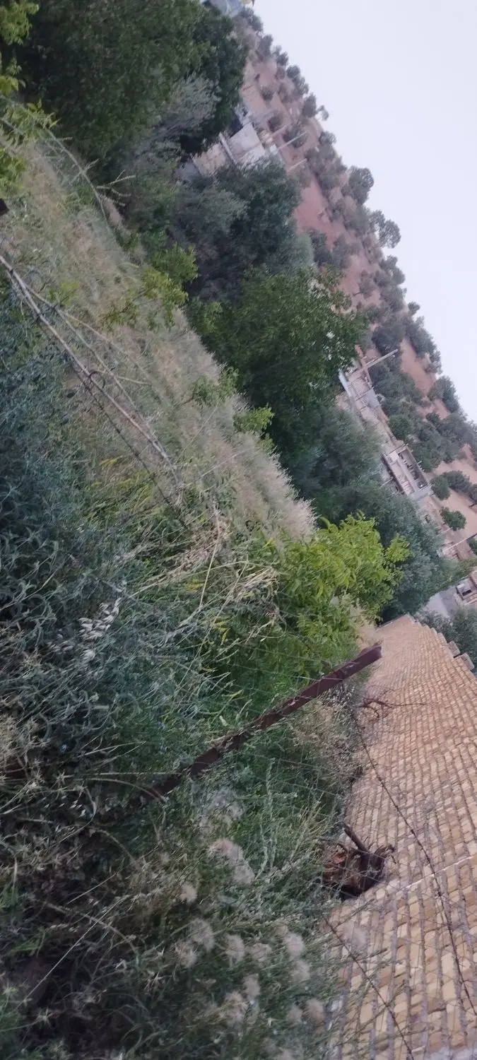 باغ بسطام