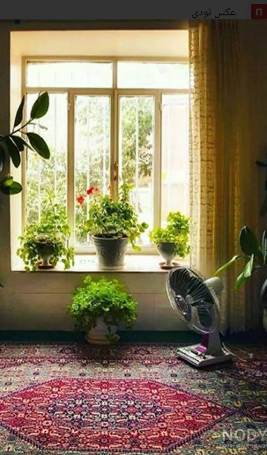 منزل مسکونی ۱۰۳ متر یک طبقه شهیاد