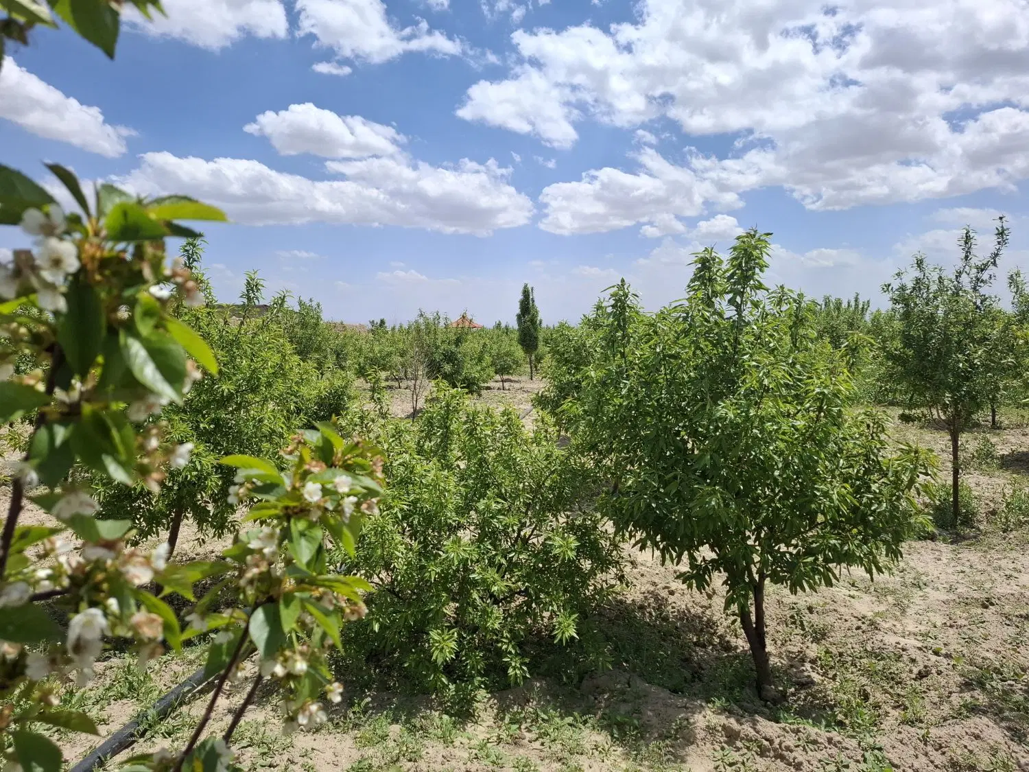 فروش زمین400 متری