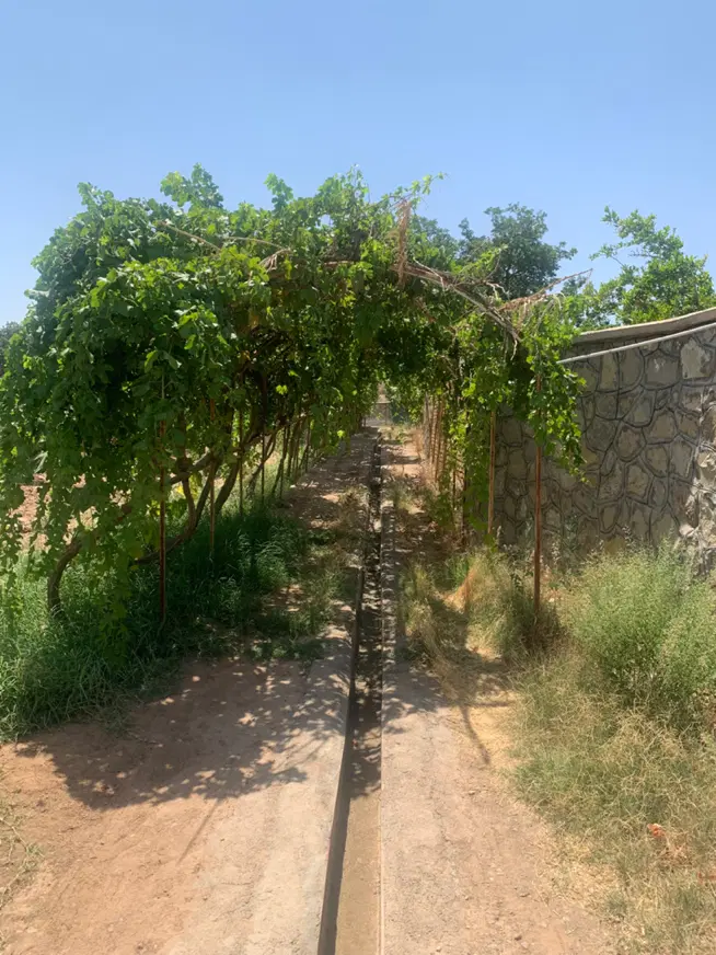 فروش باغ درجزین