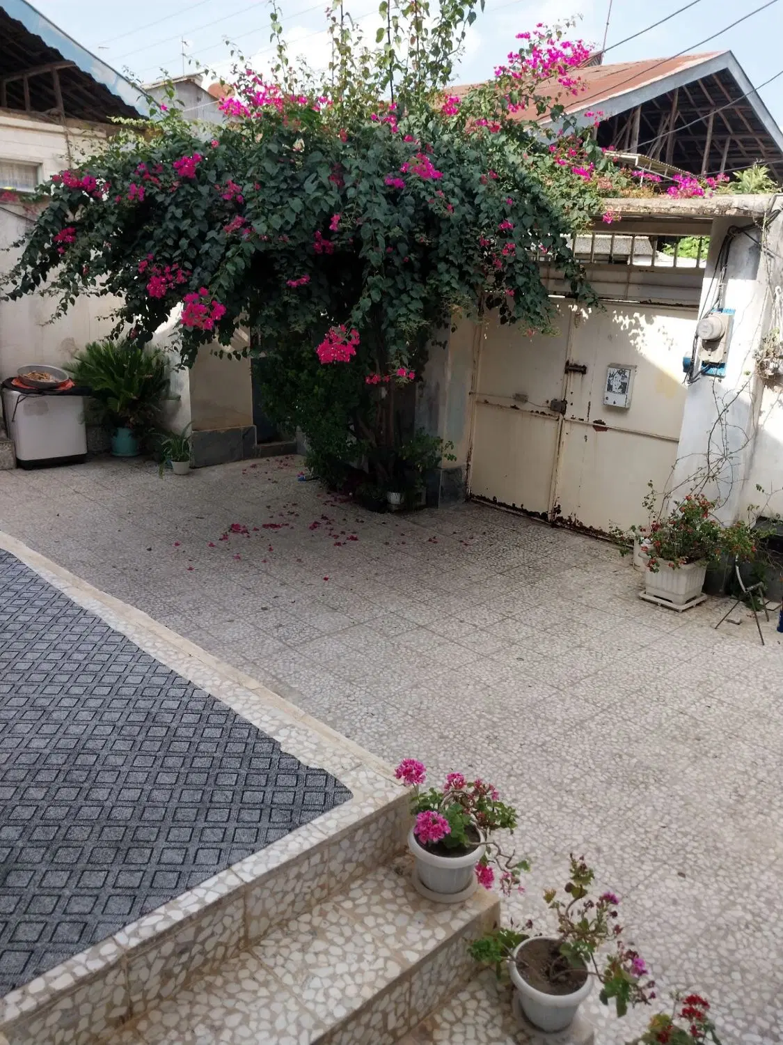 ملک ویلایی